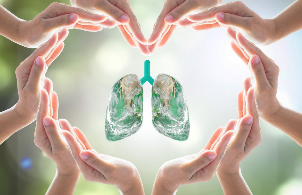 An intricate 3D illustration of the cardio-respiratory system highlighting the heart and lungs, representing the best cardio respiratory physiotherapy in JP Nagar offered by Excellent Physiocare.